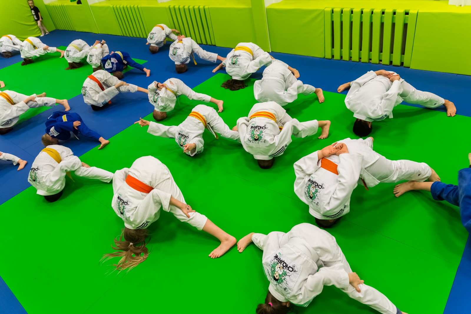 9A1A0005 (Kopiowanie)