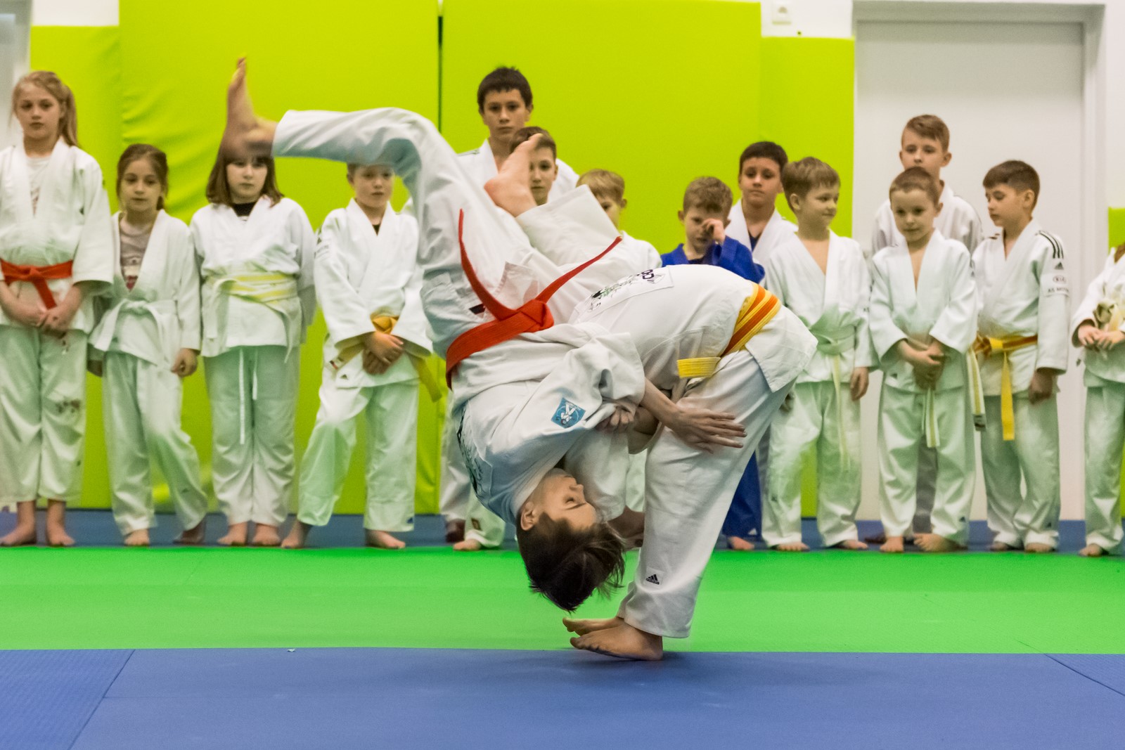 9A1A0222 (Kopiowanie)